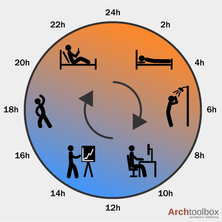 Graphic of the Human Circadian Rhythm