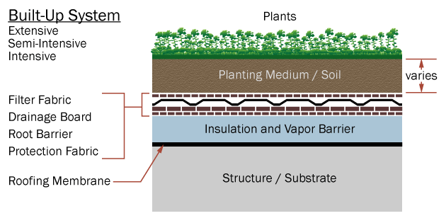 Diagram of a Built-up Green Roof System: Semi-Intensive or Intensive