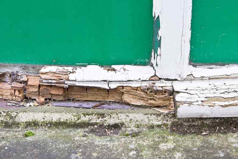 Photo of wood rot at a window sill